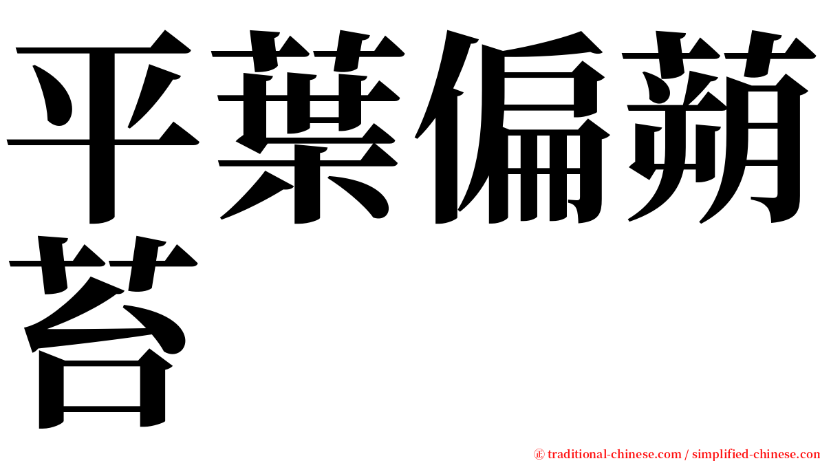 平葉偏蒴苔 serif font
