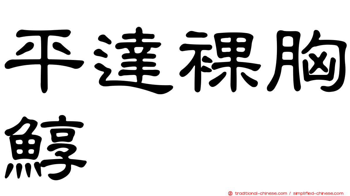 平達裸胸鯙