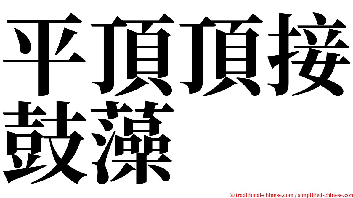 平頂頂接鼓藻 serif font