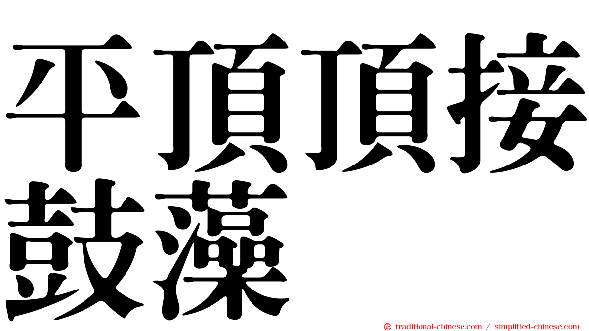 平頂頂接鼓藻