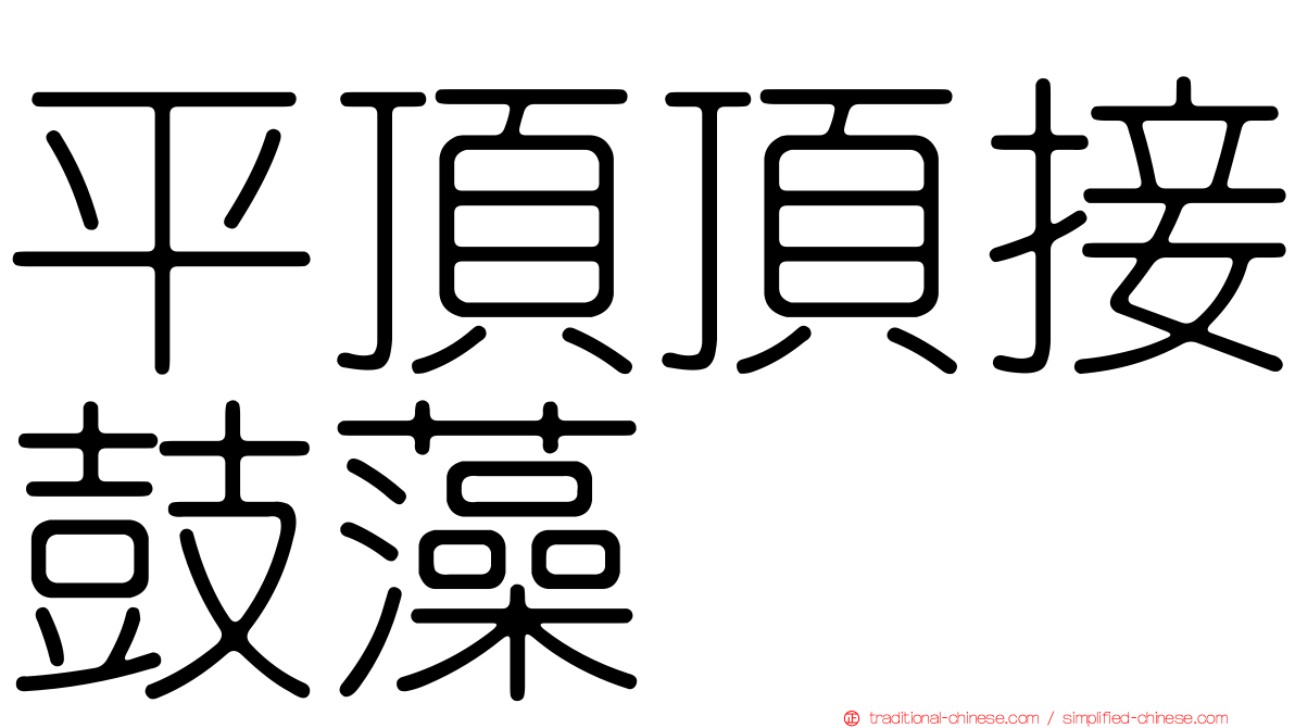 平頂頂接鼓藻