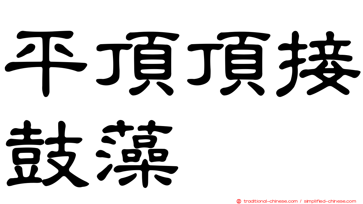 平頂頂接鼓藻