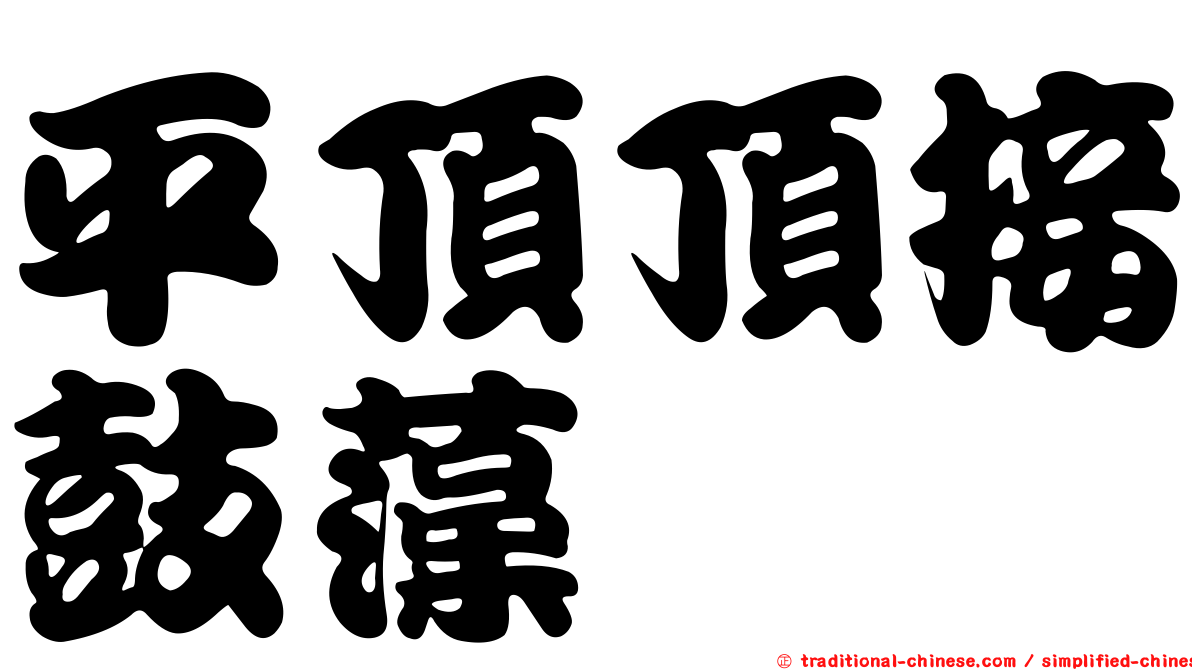 平頂頂接鼓藻