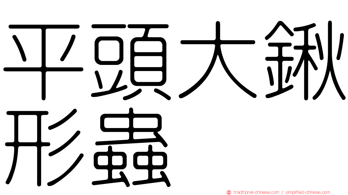 平頭大鍬形蟲