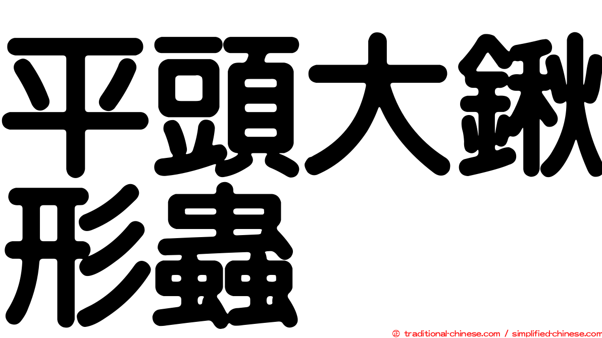 平頭大鍬形蟲