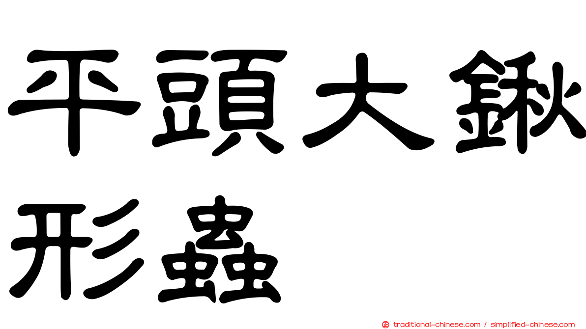 平頭大鍬形蟲