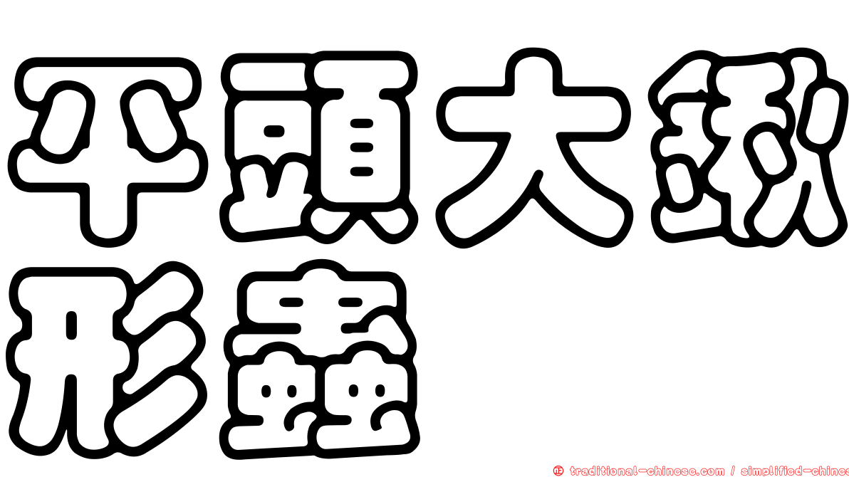 平頭大鍬形蟲