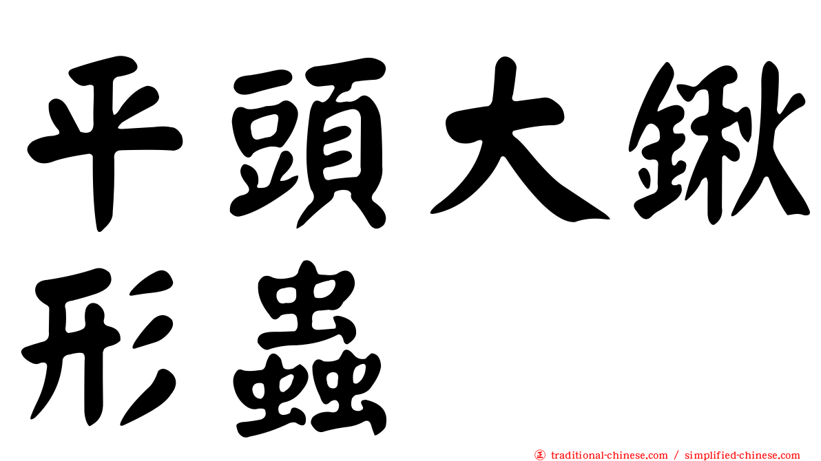 平頭大鍬形蟲
