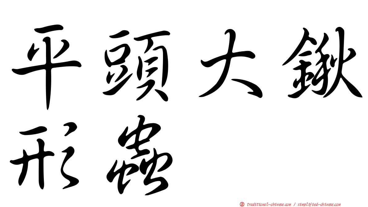 平頭大鍬形蟲