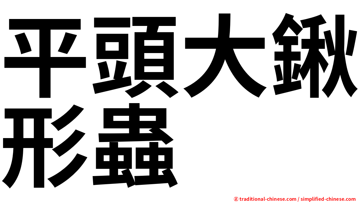 平頭大鍬形蟲