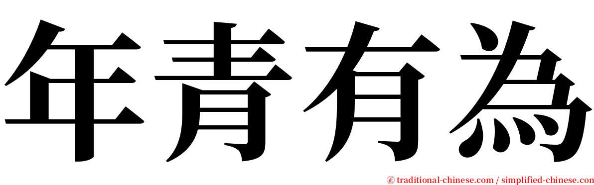 年青有為 serif font