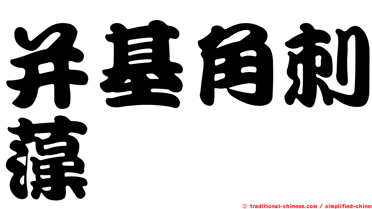 并基角刺藻