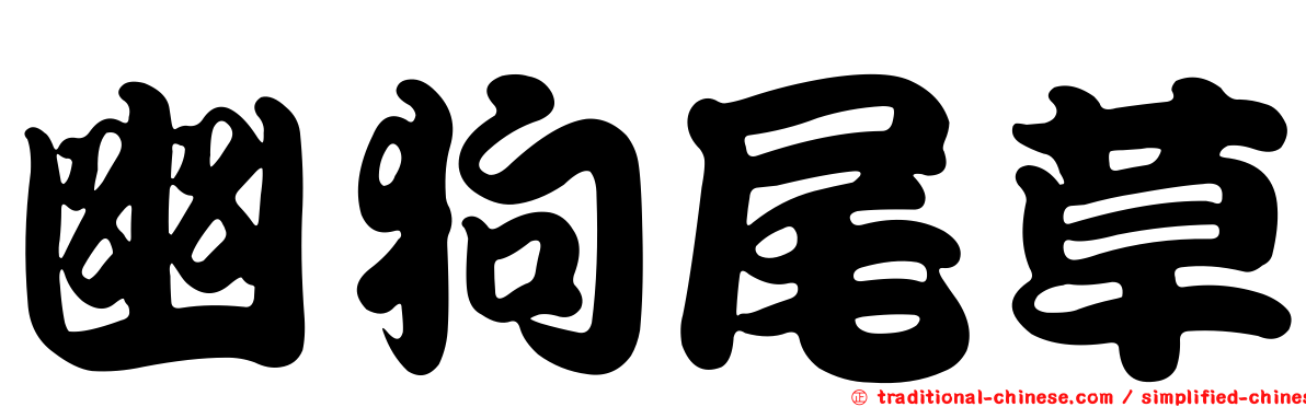 幽狗尾草