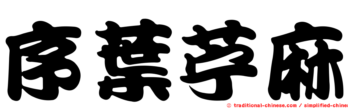 序葉苧麻