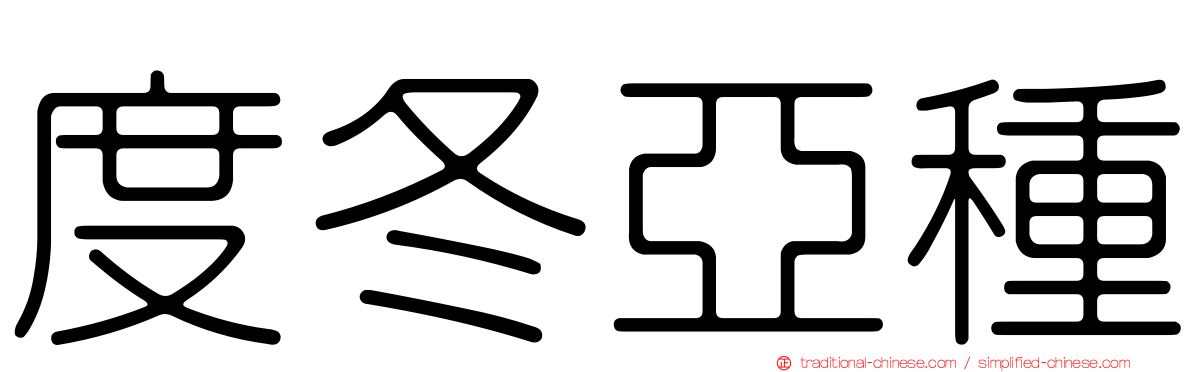 度冬亞種