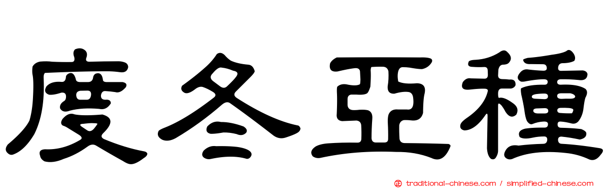 度冬亞種