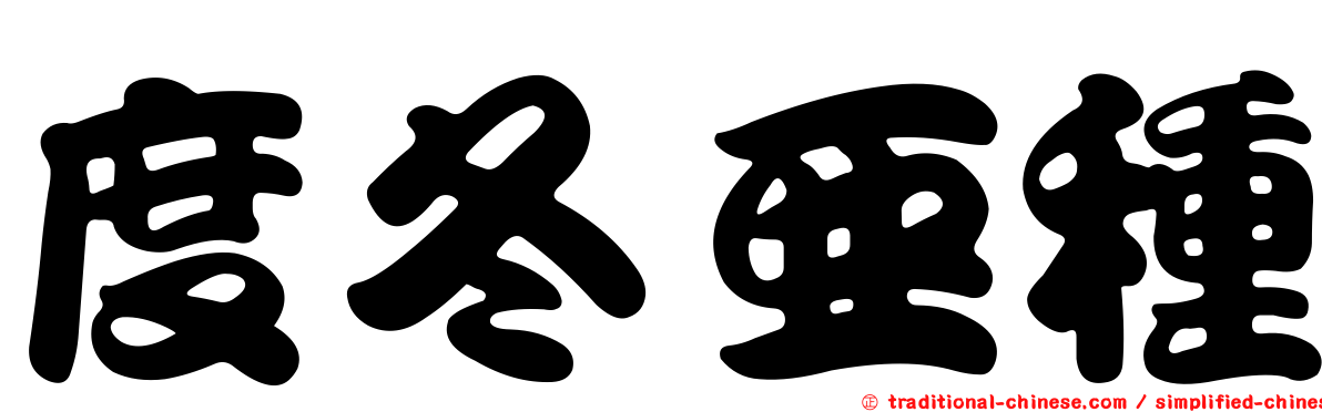 度冬亞種