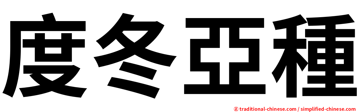 度冬亞種