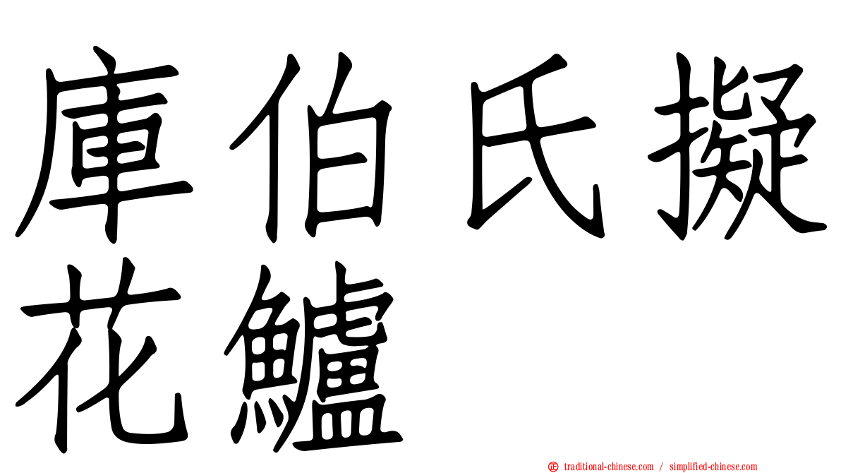 庫伯氏擬花鱸
