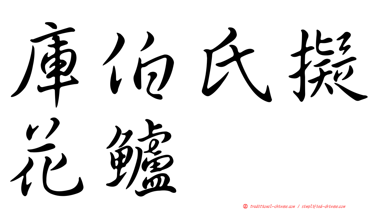 庫伯氏擬花鱸