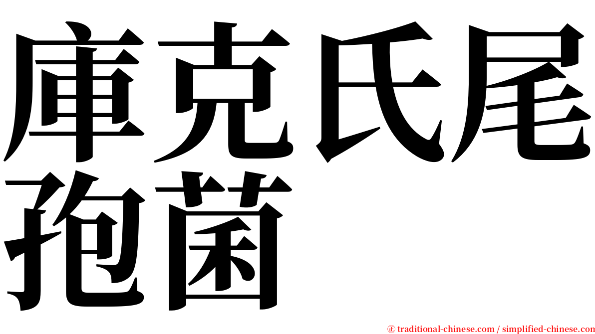 庫克氏尾孢菌 serif font