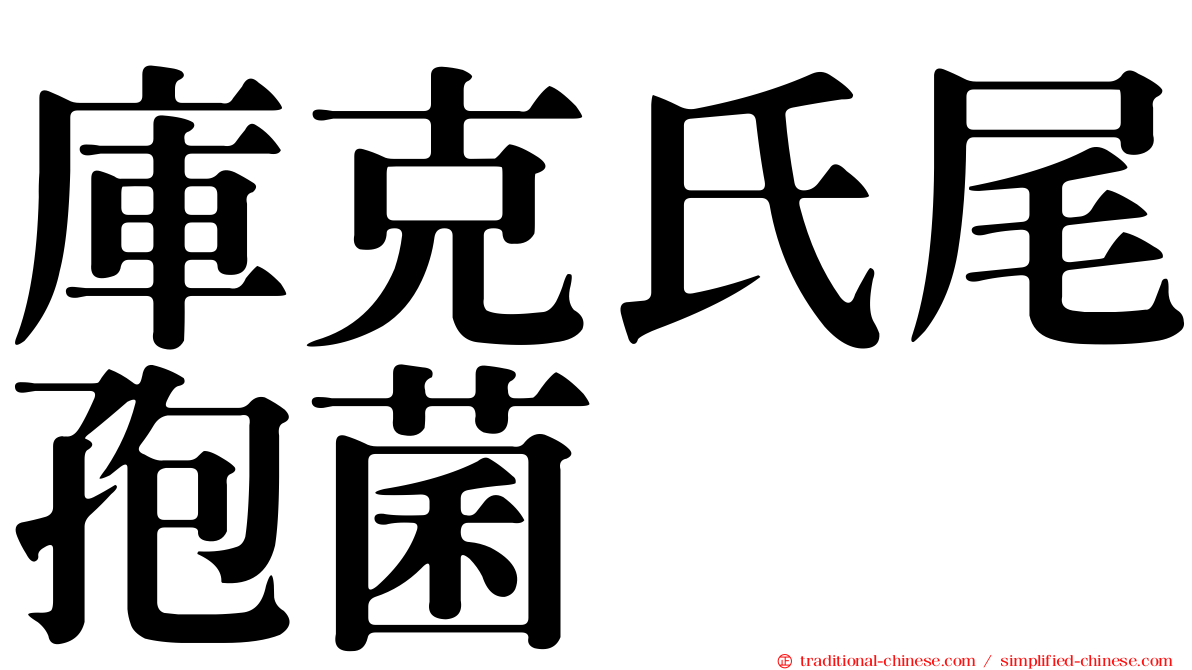 庫克氏尾孢菌