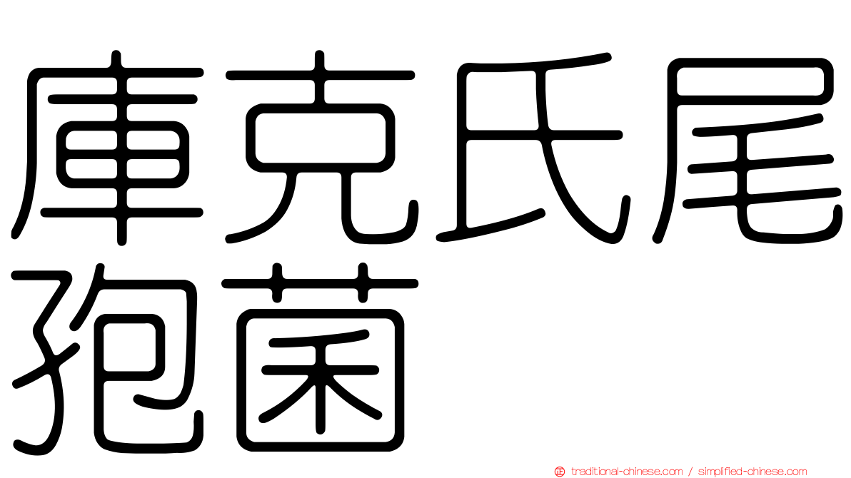 庫克氏尾孢菌
