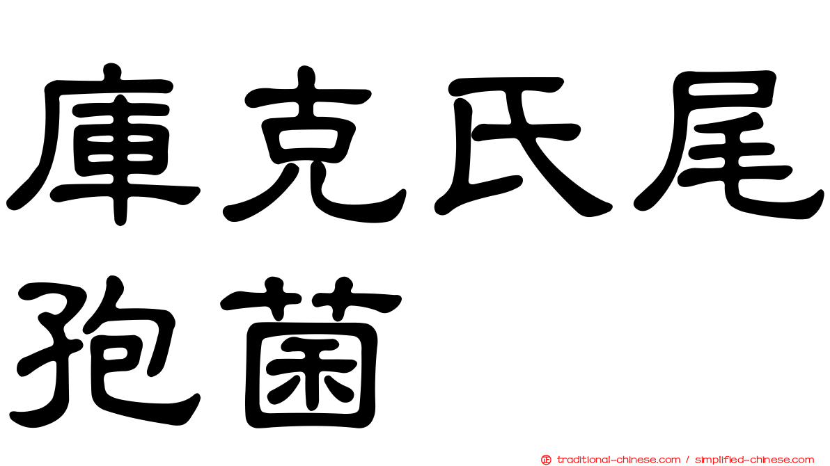 庫克氏尾孢菌