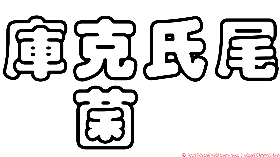 庫克氏尾孢菌