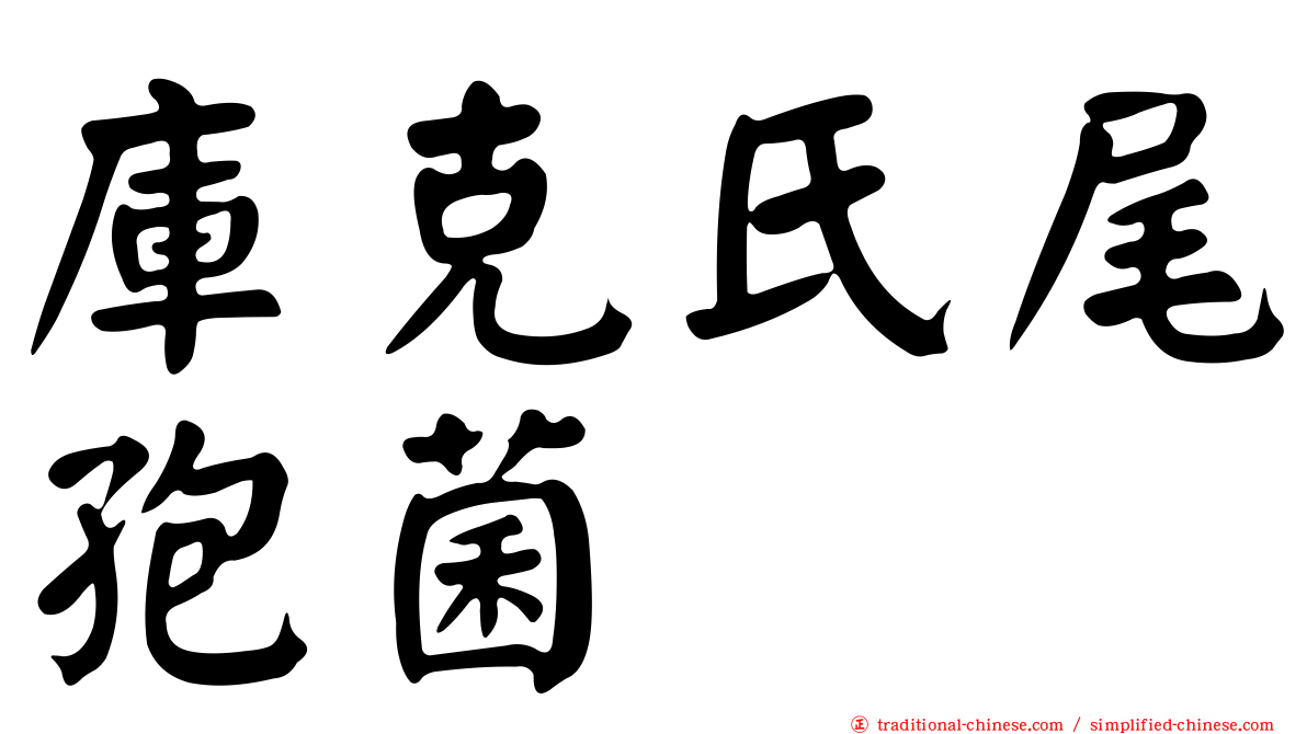 庫克氏尾孢菌