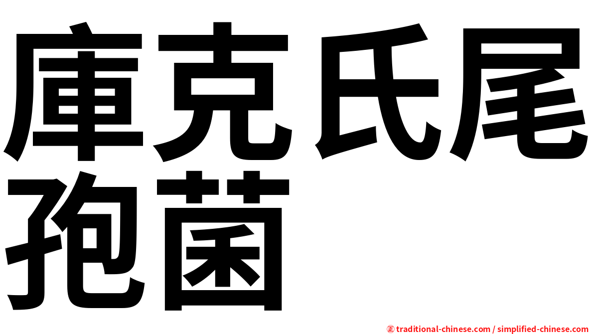 庫克氏尾孢菌