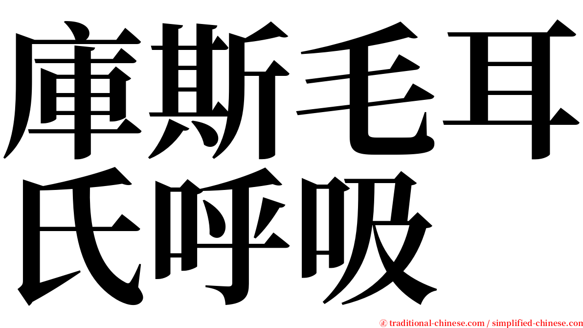庫斯毛耳氏呼吸 serif font