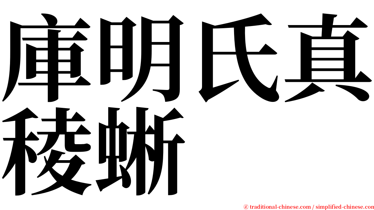 庫明氏真稜蜥 serif font