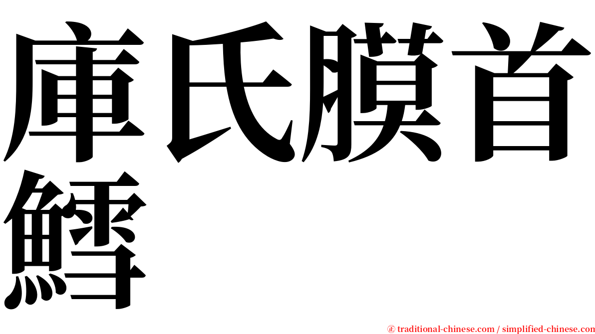 庫氏膜首鱈 serif font