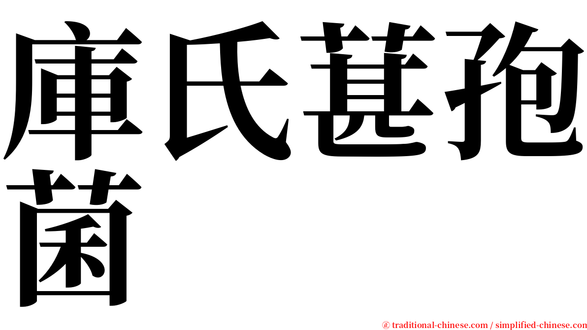 庫氏葚孢菌 serif font