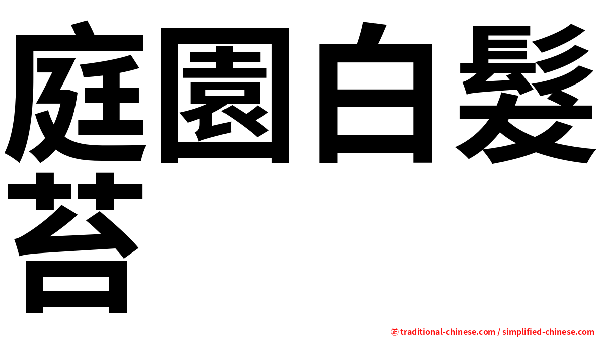 庭園白髮苔