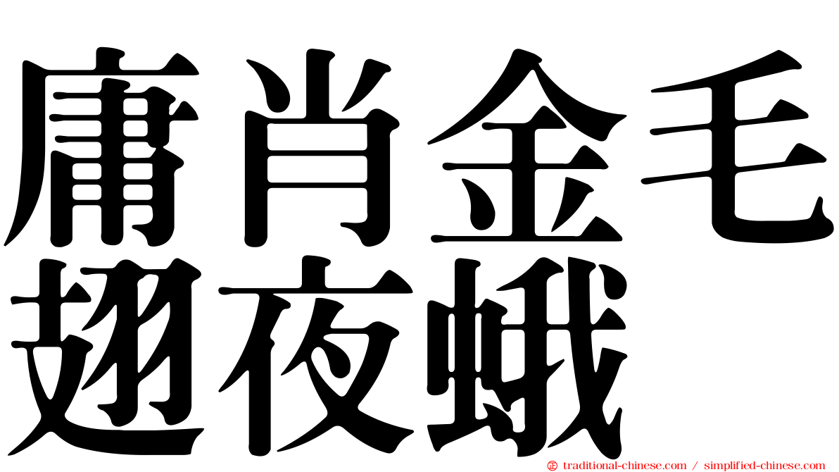 庸肖金毛翅夜蛾