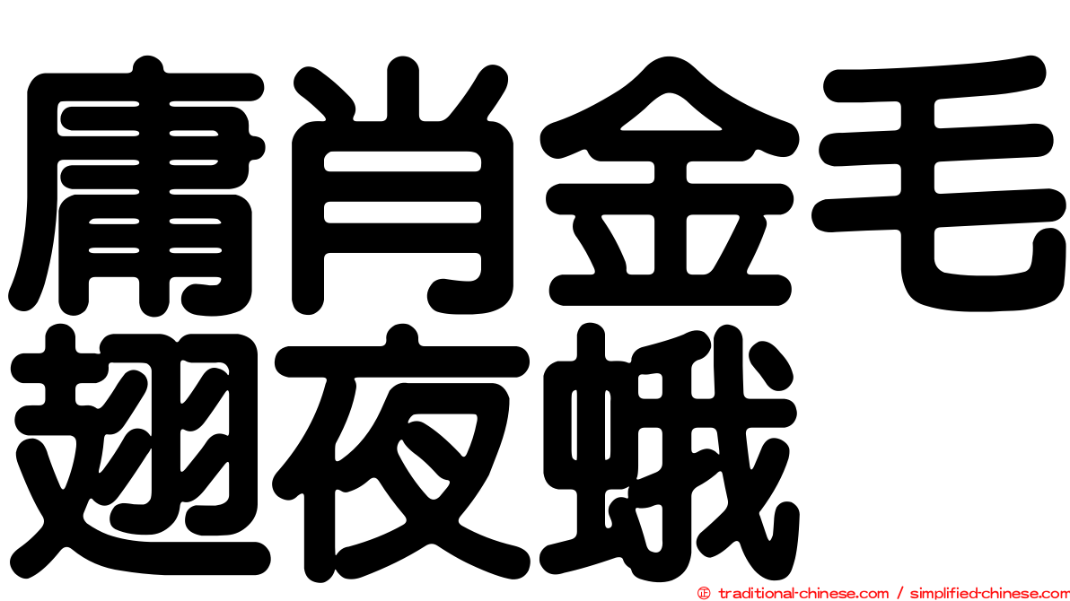 庸肖金毛翅夜蛾