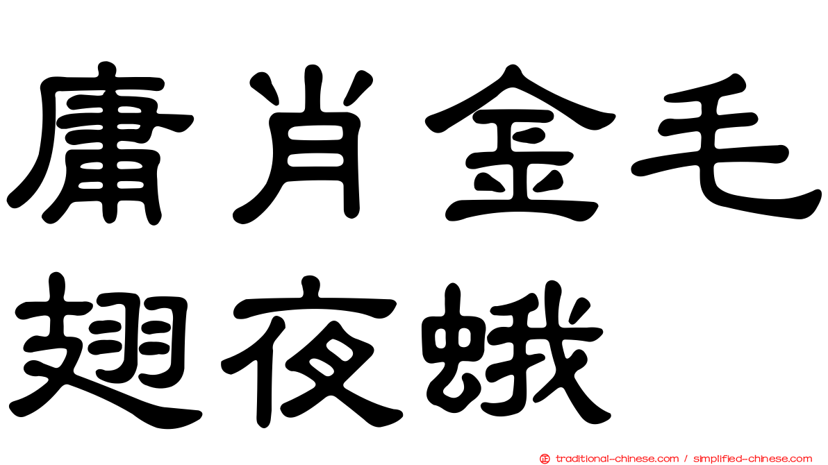 庸肖金毛翅夜蛾