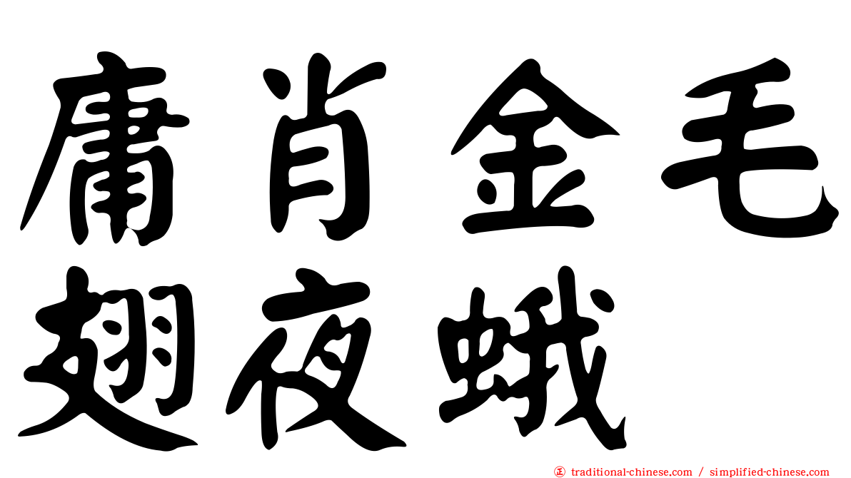 庸肖金毛翅夜蛾