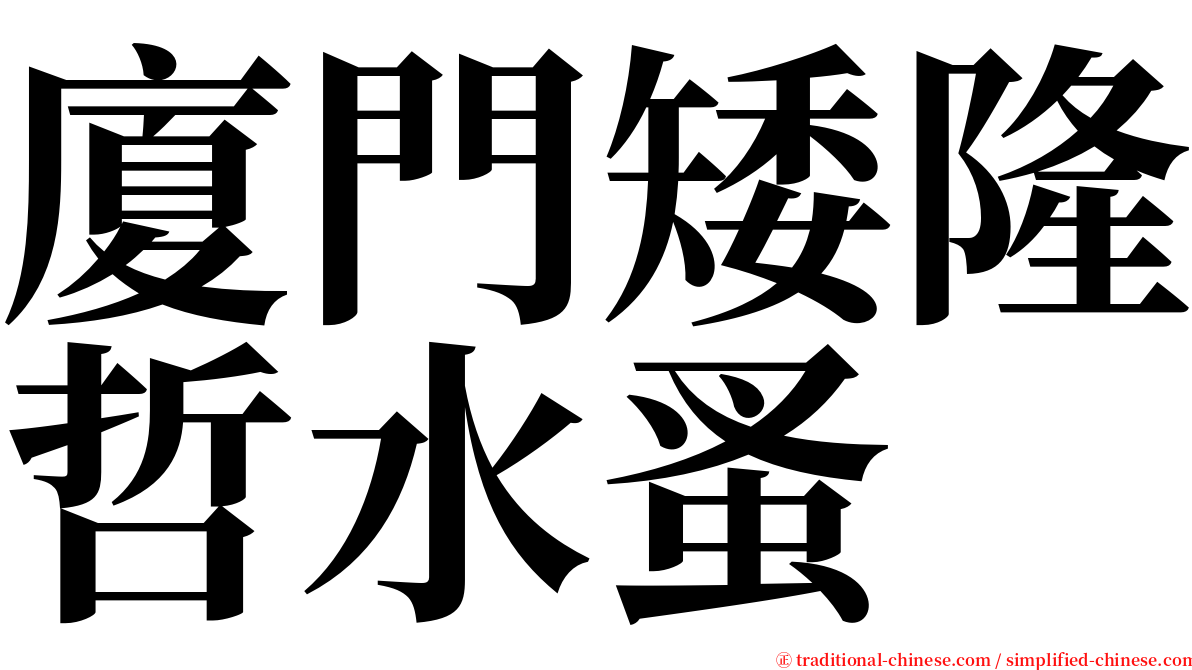 廈門矮隆哲水蚤 serif font