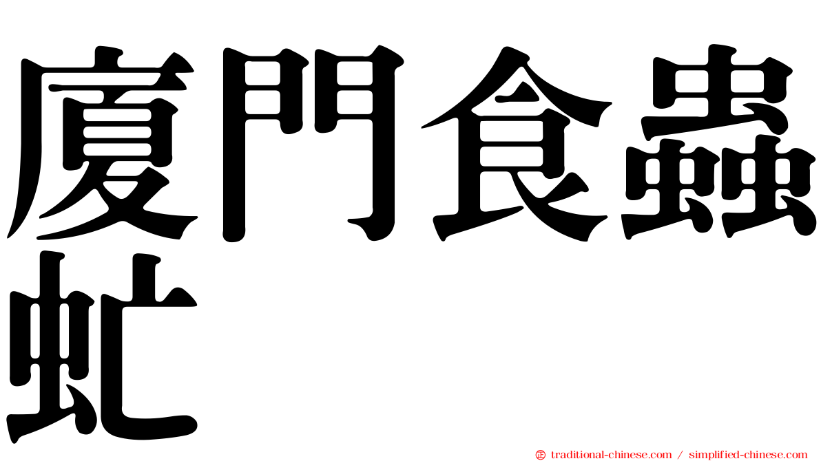 廈門食蟲虻