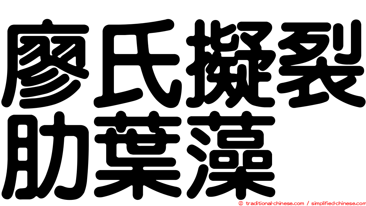 廖氏擬裂肋葉藻