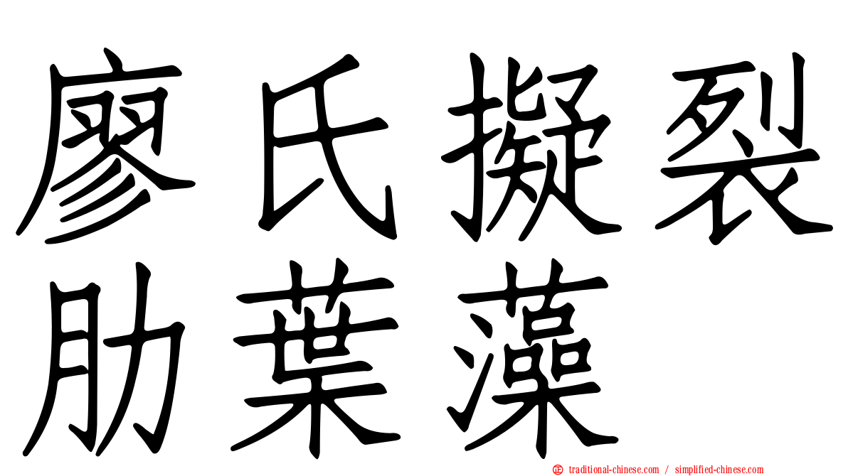 廖氏擬裂肋葉藻