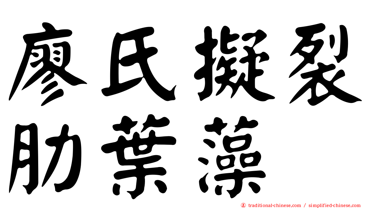 廖氏擬裂肋葉藻