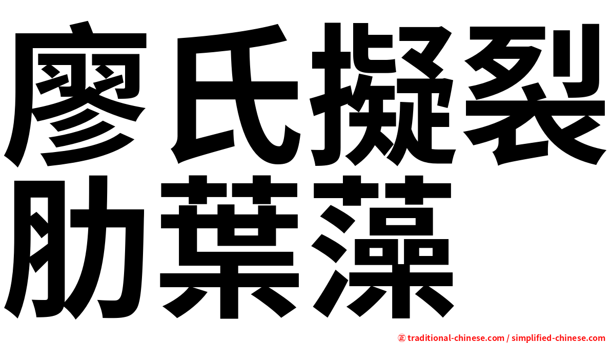 廖氏擬裂肋葉藻