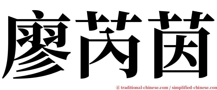 廖芮茵 serif font