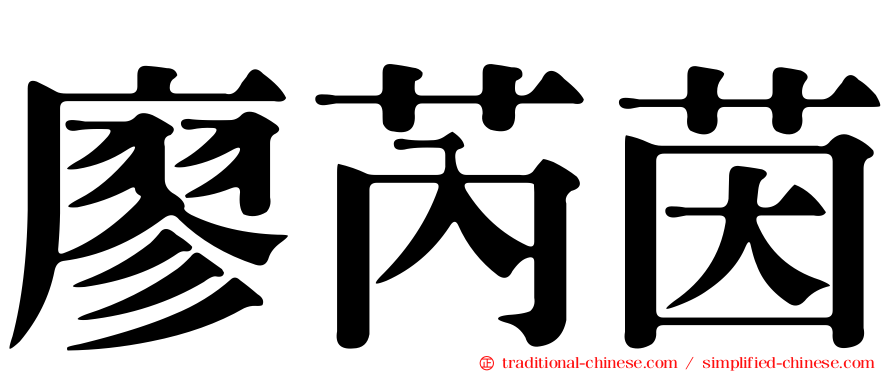 廖芮茵