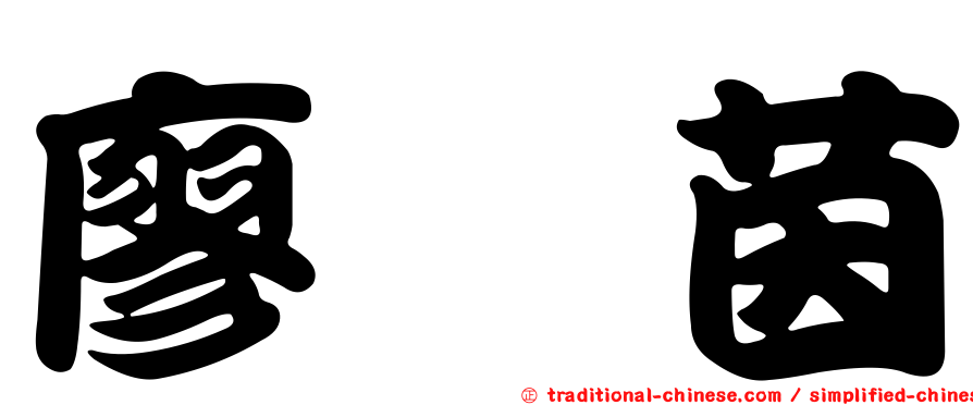 廖芮茵