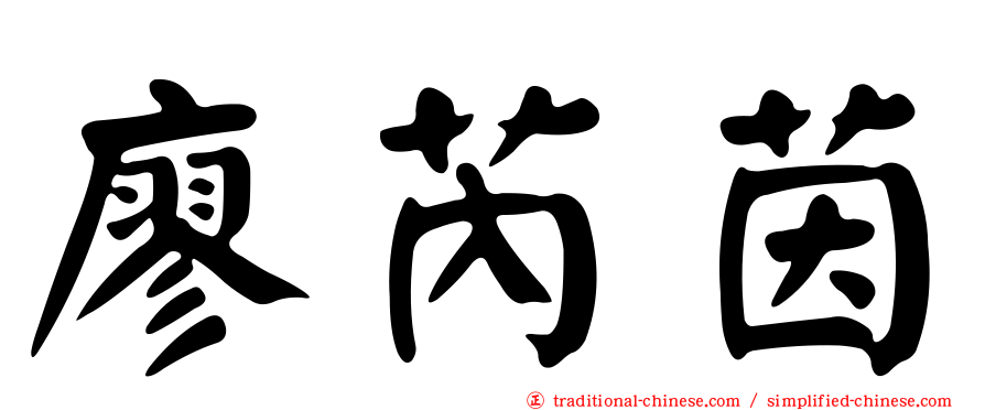 廖芮茵